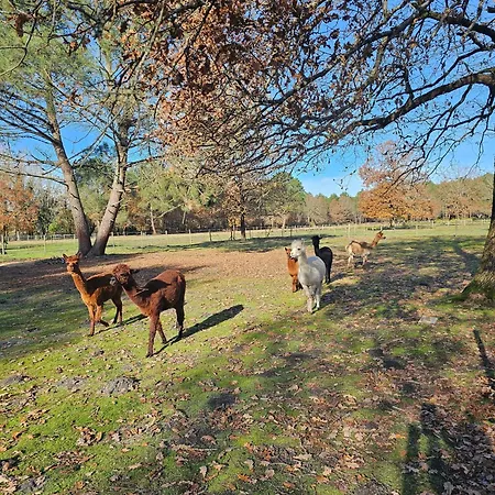 Bed & Breakfast Les Chouchous Du Garthieu Hourtin