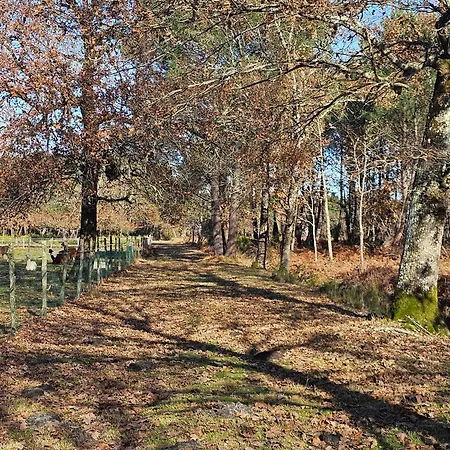 Les Chouchous Du Garthieu Bed & Breakfast 3*