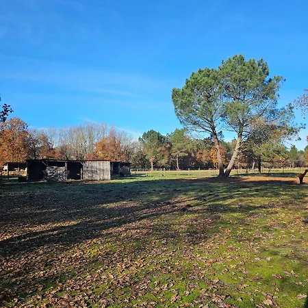 Bed & Breakfast Les Chouchous Du Garthieu