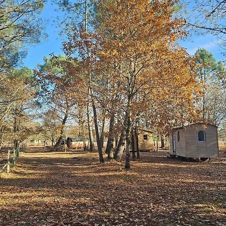 Les Chouchous Du Garthieu 3* Hourtin