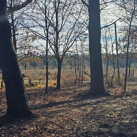 Les Chouchous Du Garthieu 3* Hourtin