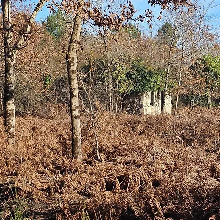 فندق مبيت وإفطار Les Chouchous Du Garthieu 3*