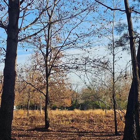 Les Chouchous Du Garthieu Bed & Breakfast Hourtin