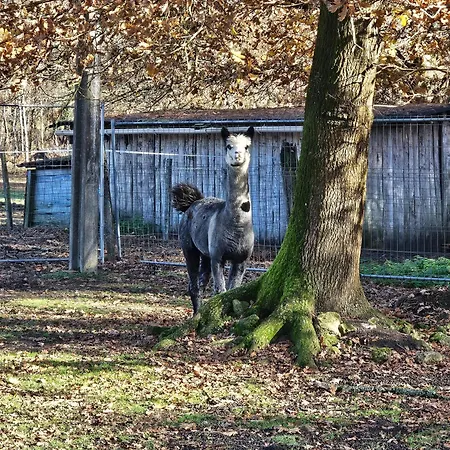 Les Chouchous Du Garthieu 3*