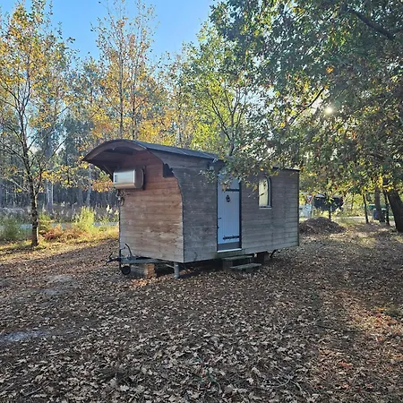 Bed & Breakfast Les Chouchous Du Garthieu Hourtin