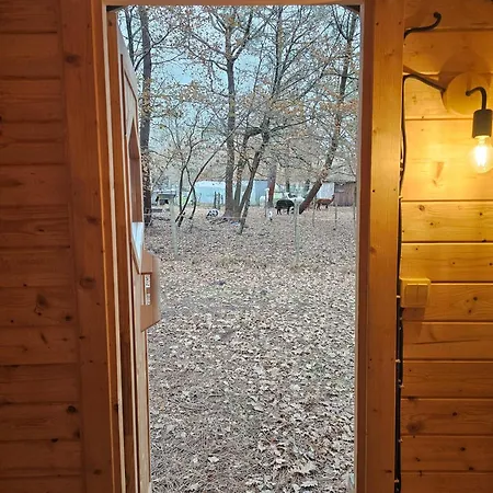 Les Chouchous Du Garthieu Hourtin