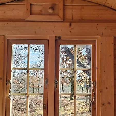 Bed & Breakfast Les Chouchous Du Garthieu Hourtin