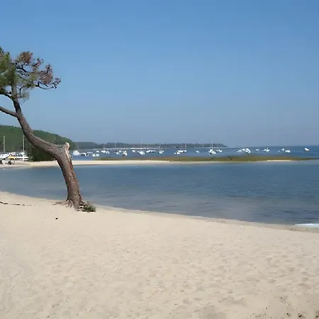 Les Chouchous Du Garthieu 3*