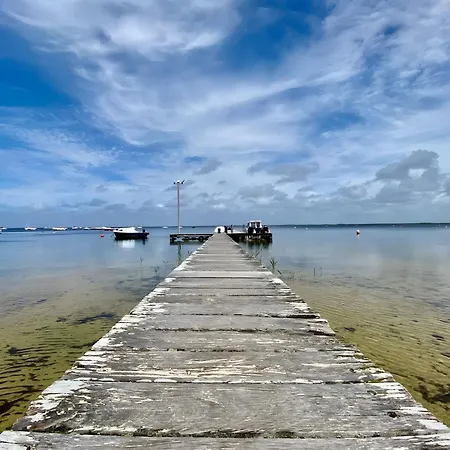 Les Chouchous Du Garthieu 3*