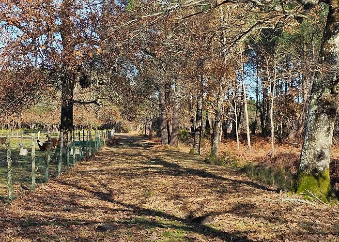 Les Chouchous Du Garthieu Couette-café 3*