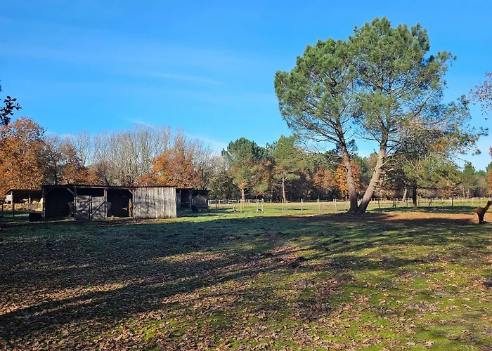 فندق مبيت وإفطار Les Chouchous Du Garthieu