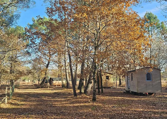 Les Chouchous Du Garthieu 3* هورتين