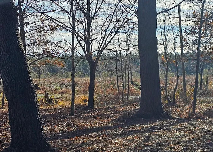 Les Chouchous Du Garthieu 3* هورتين