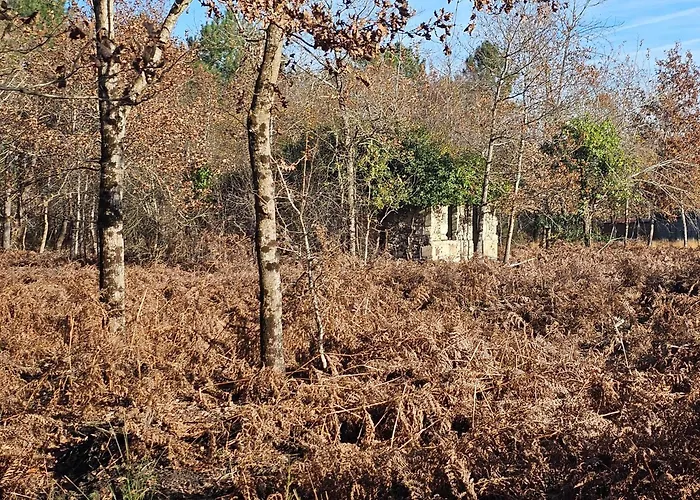 Couette-café Les Chouchous Du Garthieu 3*