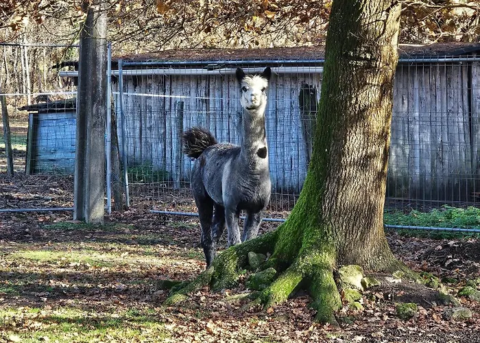 Les Chouchous Du Garthieu 3*