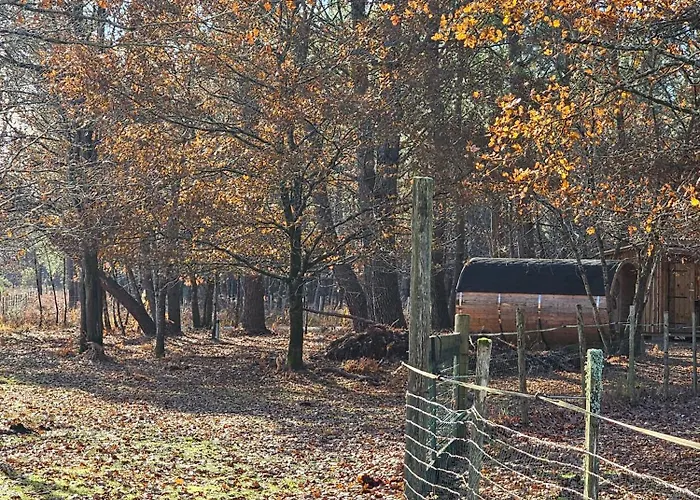 Les Chouchous Du Garthieu فندق مبيت وإفطار هورتين