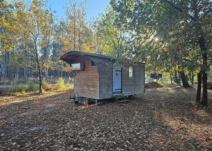 Couette-café Les Chouchous Du Garthieu Hourtin