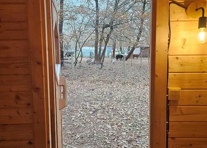 Les Chouchous Du Garthieu Hourtin