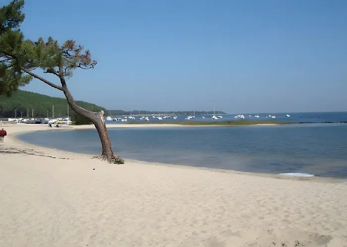 Les Chouchous Du Garthieu 3*