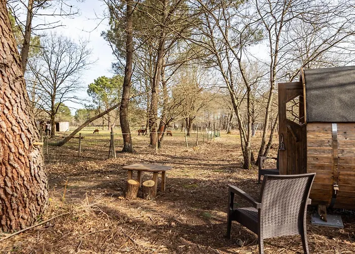 Les Chouchous Du Garthieu Bed & Breakfast Hourtin